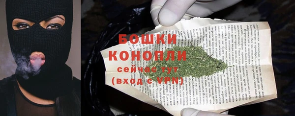 ГАЛЛЮЦИНОГЕННЫЕ ГРИБЫ Вязьма