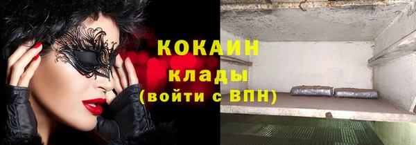 ГАЛЛЮЦИНОГЕННЫЕ ГРИБЫ Вязьма