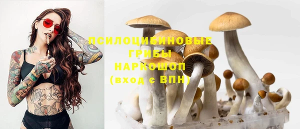 ГАЛЛЮЦИНОГЕННЫЕ ГРИБЫ Вязьма