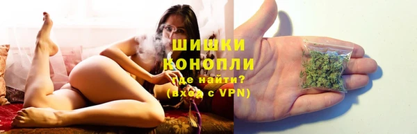 ГАЛЛЮЦИНОГЕННЫЕ ГРИБЫ Вязьма