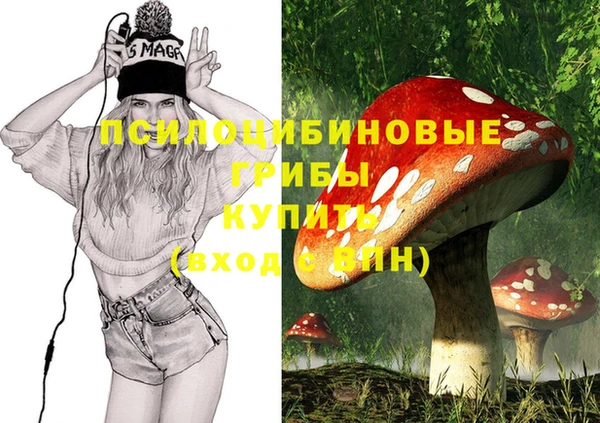 ГАЛЛЮЦИНОГЕННЫЕ ГРИБЫ Вязьма