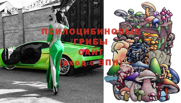Альфа ПВП Вяземский