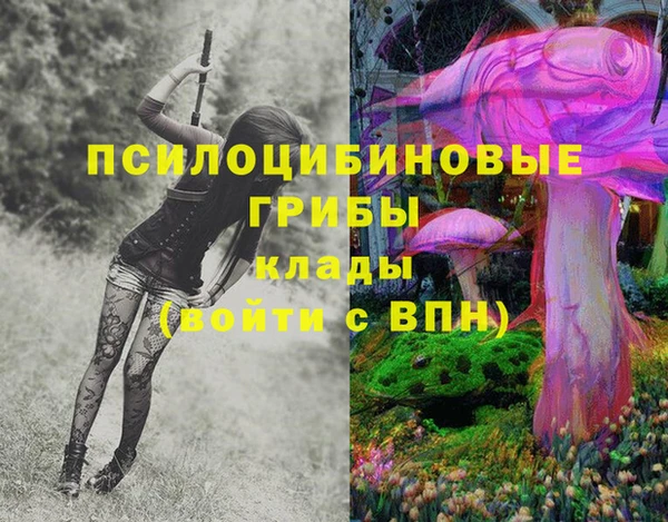ГАЛЛЮЦИНОГЕННЫЕ ГРИБЫ Вязьма