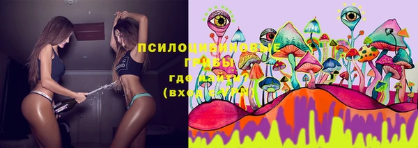 герыч Вязники