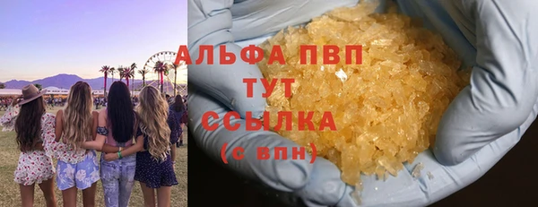 ГАЛЛЮЦИНОГЕННЫЕ ГРИБЫ Вязьма