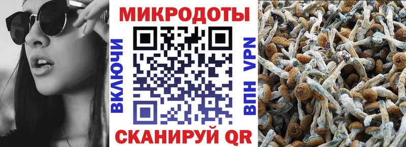 Псилоцибиновые грибы Cubensis  гидра ONION  Камень-на-Оби 